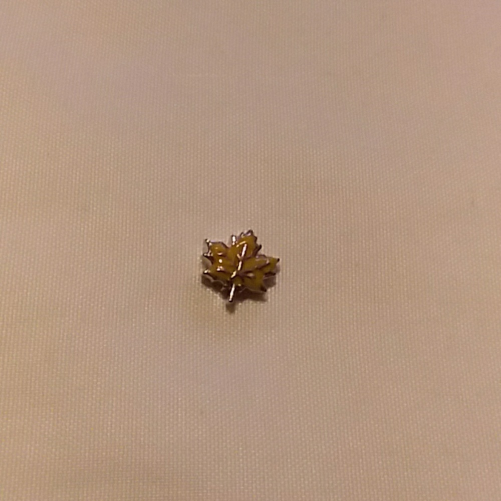 Origami Owl charm